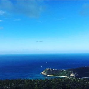 Meet your Posher, Avery